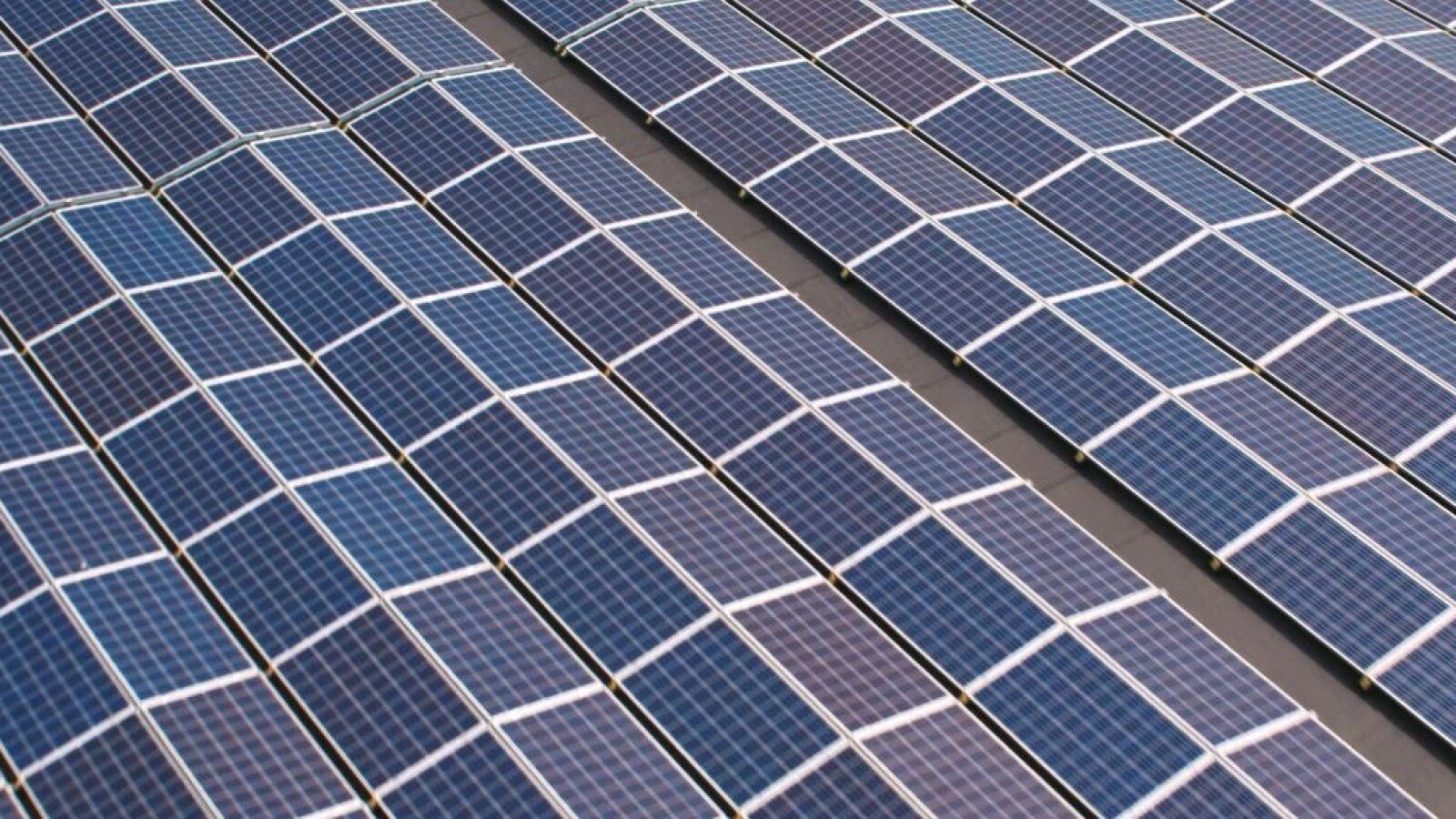 Remia MVO zonnepanelen op het dak van de fabriek