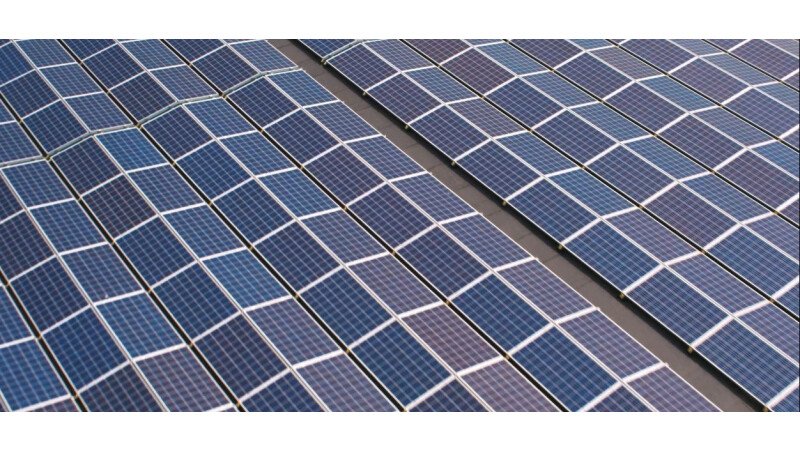 Remia MVO zonnepanelen op het dak van de fabriek